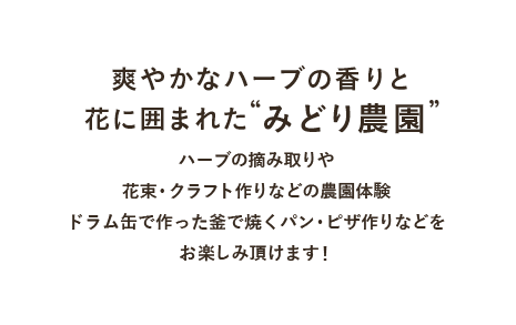 爽やかなハーブの香りと 花に囲まれた”みどり農園”